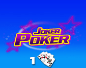 Joker Poker 1 Hand
